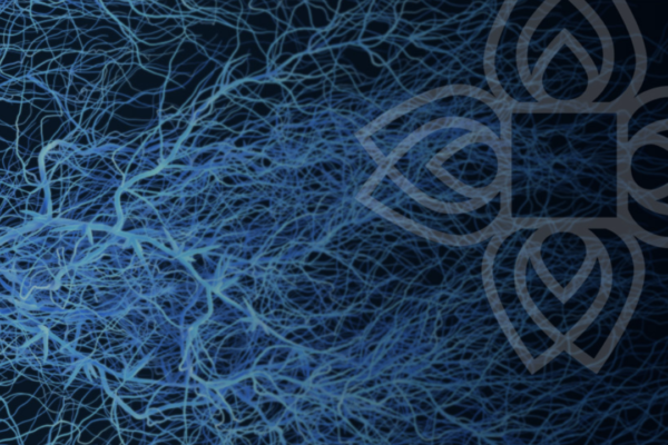 screen-shot-2019-03-07-at-11-17-32-pm