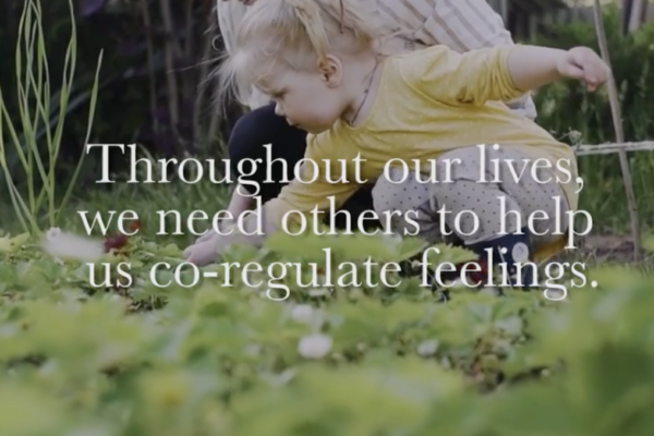 Dr. Pilar Jennings - Blog - Throughout our lives, we need others to help us co-regulate feelings.