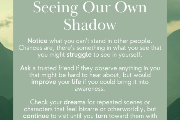 Seeing Our Own Shadow
